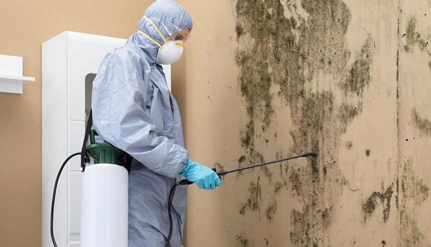 Mold Remediation Services