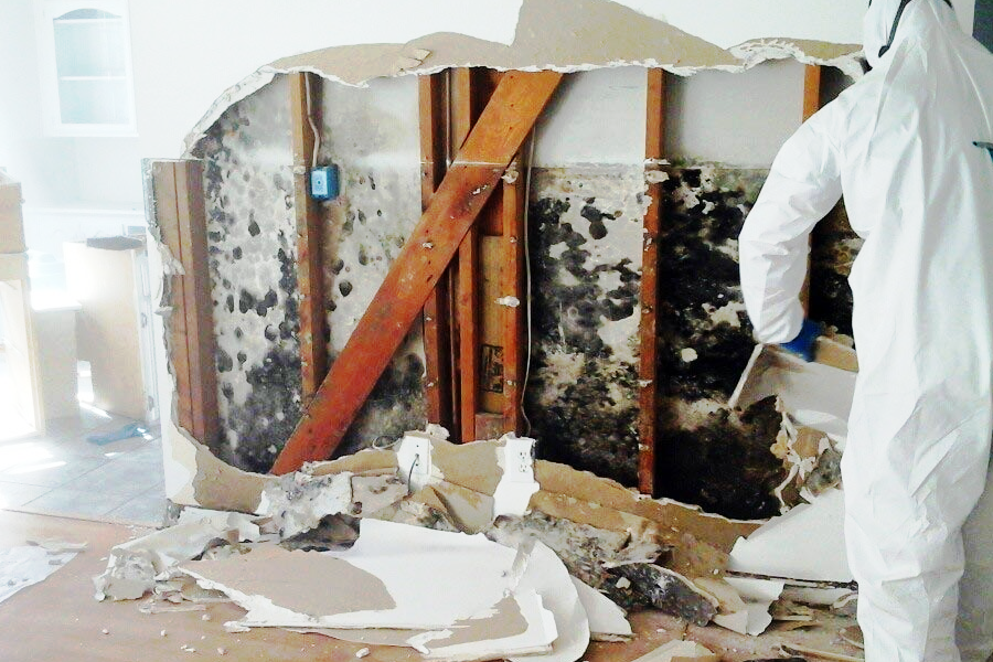 Emergency Mold Removal Service
